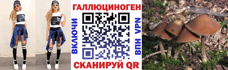 Галлюциногенные грибы Psilocybine cubensis Елец